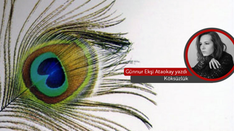 Köksüzlük