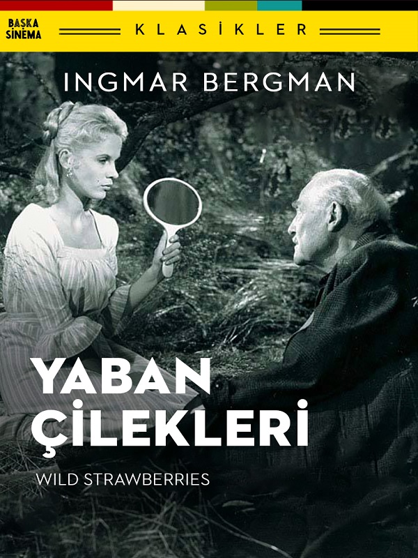 Yaban Çilekleri - DepoHaber